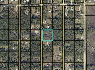10020 Zigler Ave, Hastings, FL 32145