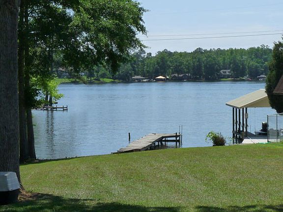 View from Back Yard