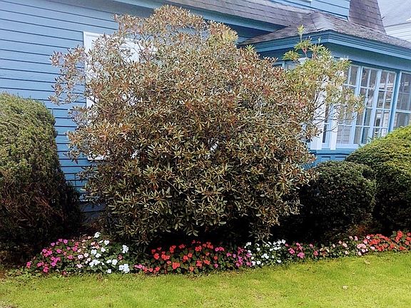 2nd image of 31 Barnard Rd