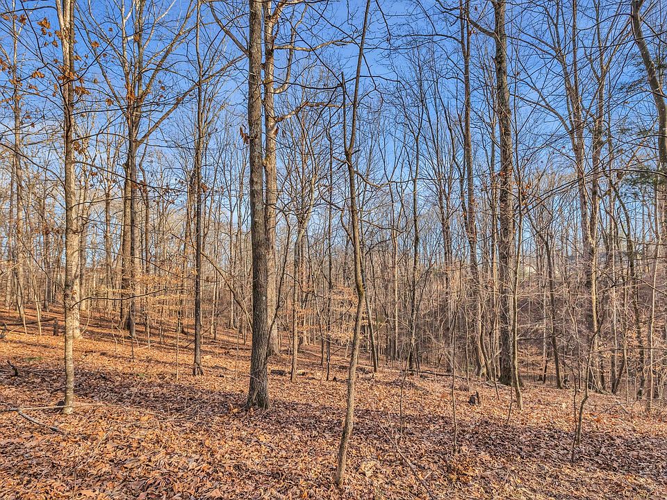 1st image of 0 Woodland Way Lot 61