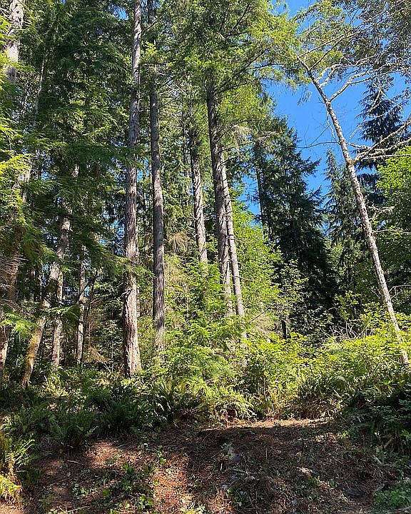 2nd image of 18229 E Spring Lake Rd