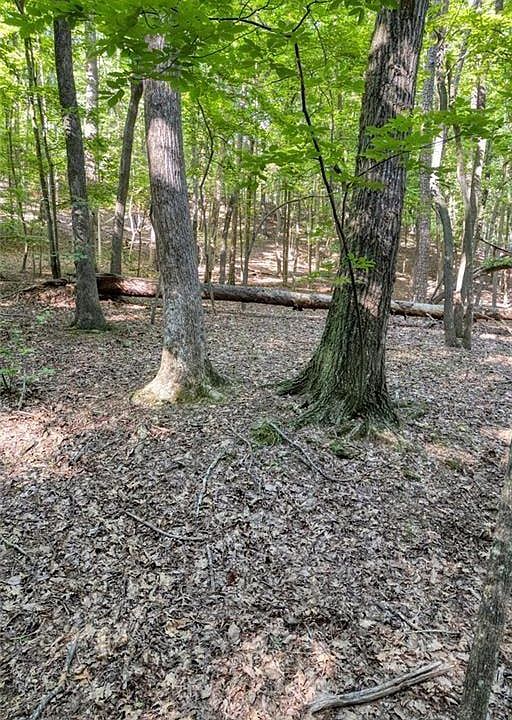 1st image of 90 Cardinal Cv Lot 1085