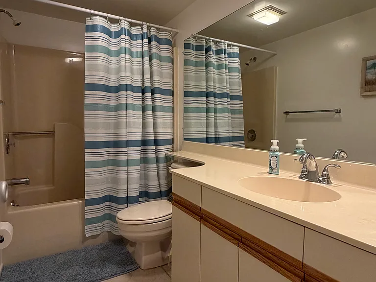 Guest Bathroom w/ shower/tub combo