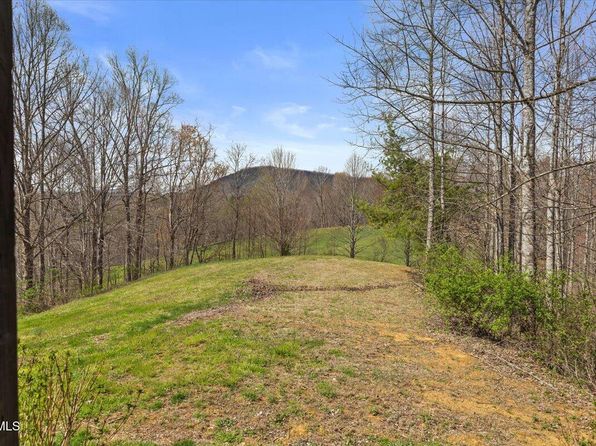 181 Conley Stevens Rd, Roan Mountain, TN 37687