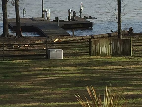 Large fenced yard