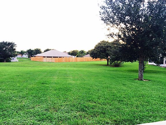 Back yard