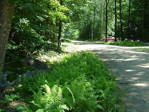 5th image of 00 Schwanli Street #160