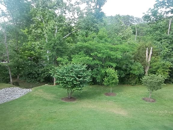 View from dDeck