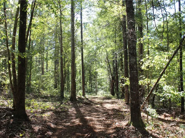 0 E Mill Dr, Goodwater, AL 35072