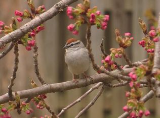 10147 Wavell Rd, Fairfax, VA 22032