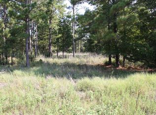 4 Morris Ln, Huntsville, TX 77320