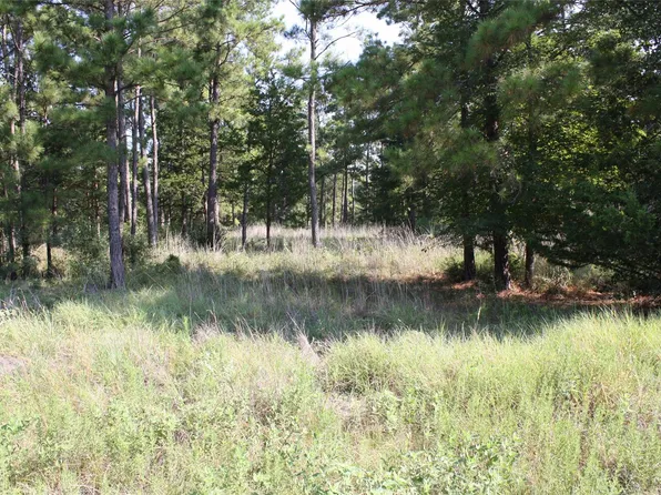 4 Morris Ln, Huntsville, TX 77320