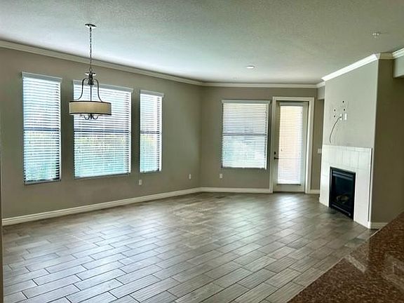 Great Room/Fireplace