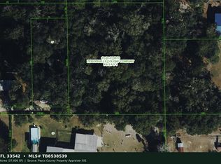 A St, Zephyrhills, FL 33542