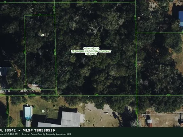 A STREET, ZEPHYRHILLS, FL 33542