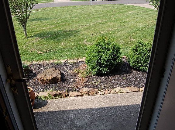4th image of 2514 Wimsatt Ct