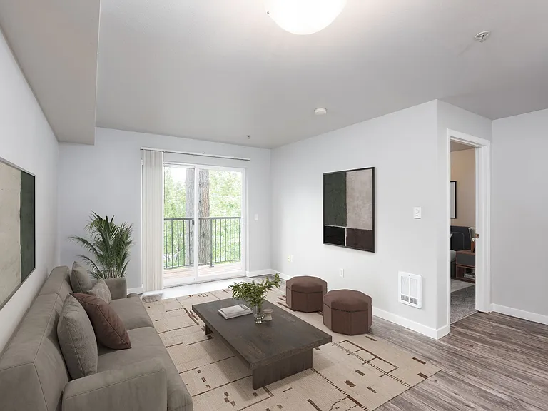 1x1 - 663 SF - Living Room
