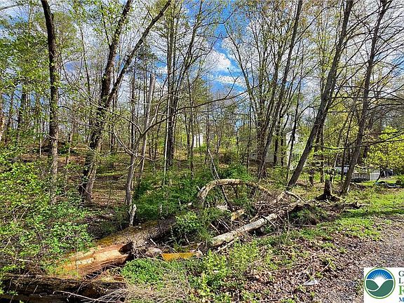 3rd image of Big Winona Rd #161