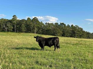 (Undisclosed Address), Houston, AR 72016