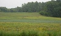 2nd image of 24848 670th Ave