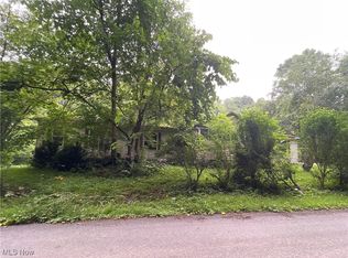 56000 Crabapple Rd, Alledonia, OH 43902