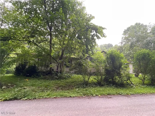 56000 Crabapple Rd, Alledonia, OH 43902