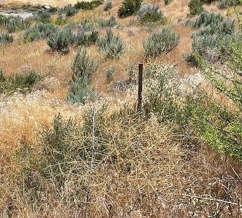 5th image of 37 Osprey Nest Road