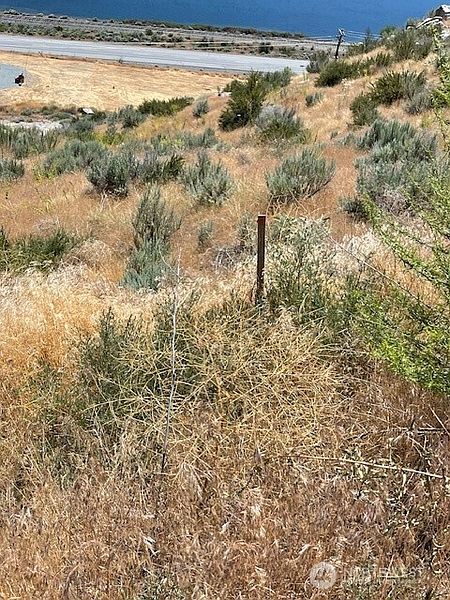 5th image of 37 Osprey Nest Road