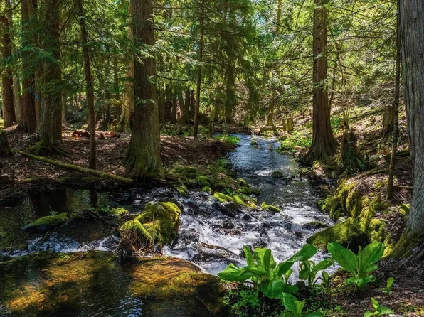 Nna Garfield Bay Rd, Sagle, ID 83860