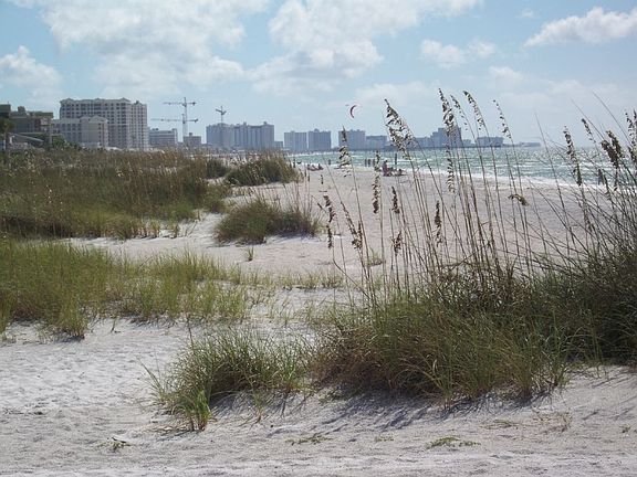 View from our beach