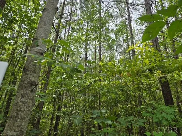 0 Miller Camp Rd, Buckingham, VA 23921