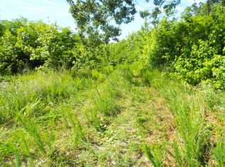 Evan Davis Dr, Brookneal, VA 24528