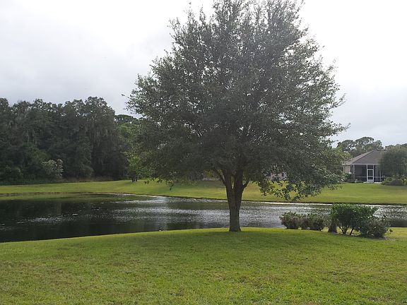 Pond, Trees, Lawn at Back