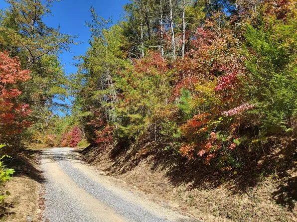 1005 Rail Way, Cosby, TN 37722