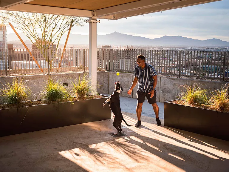 Sol Modern Phoenix Apartments Outdoor Terrace