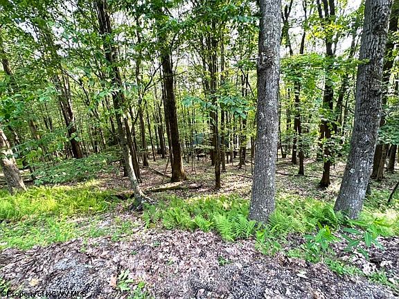 3rd image of 117 E Alpine Dr