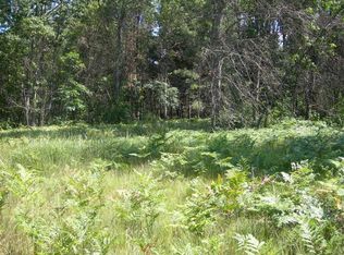 2912 W One Mile Rd, Baldwin, MI 49304