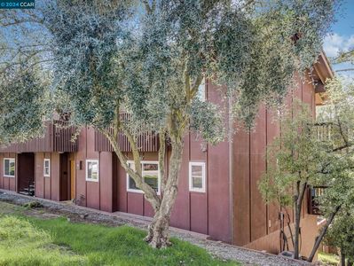 1992 Ascot Dr APT B, Moraga, CA, 94556