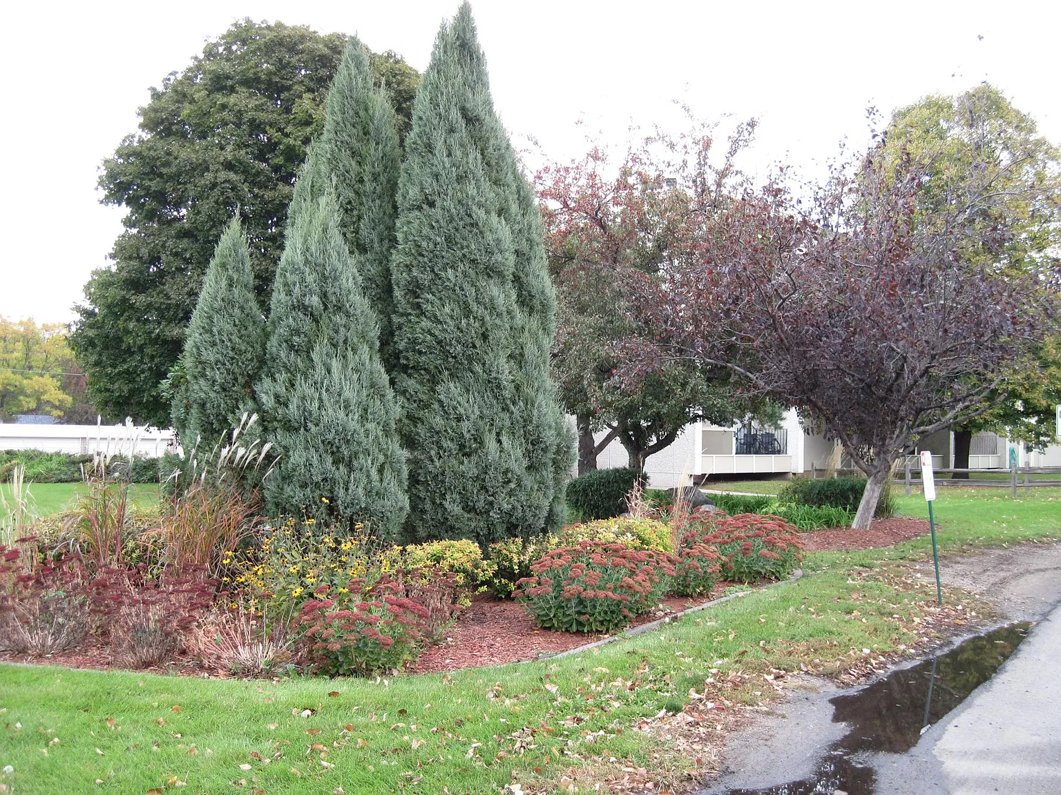 4110 Rahn Rd — Photo 4