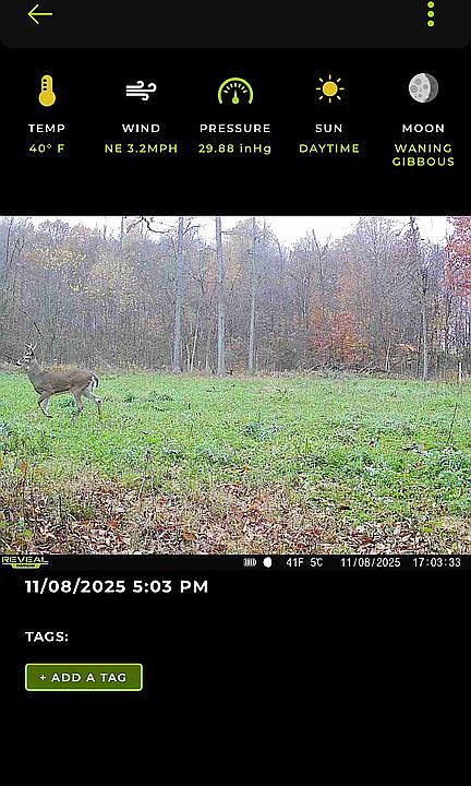 1st image of 0 Banfield Rd