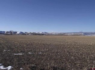 Tbd 6800 Road, Montrose, CO 81401