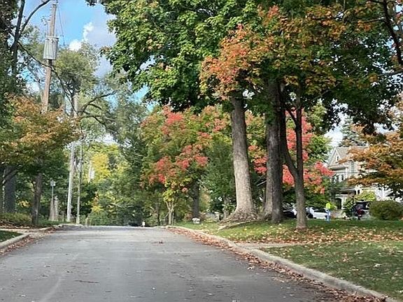 4th image of 778 Forest Ave