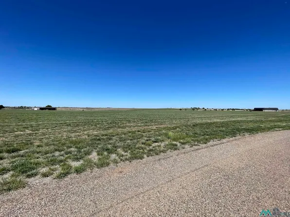890 N Lakes Dr, Clovis, NM 88101
