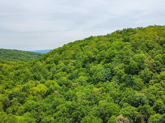 3rd image of Short Moutain Rd