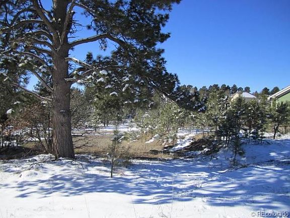 4th image of 1444 Gambel Oaks Dr