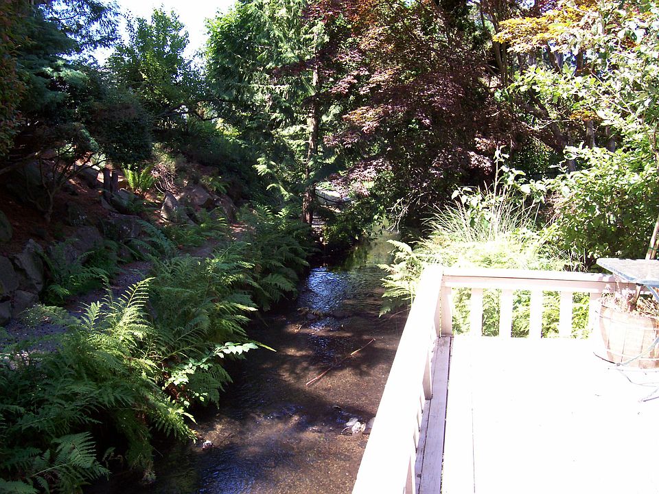 Deck on Creek
