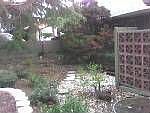 front yard