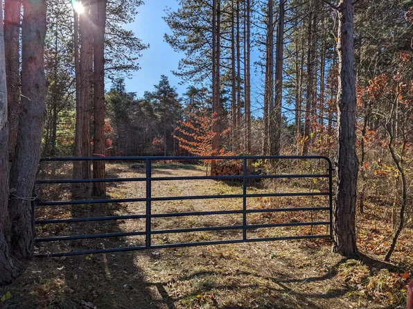 5919 W Hazel Rd, Mears, MI 49436