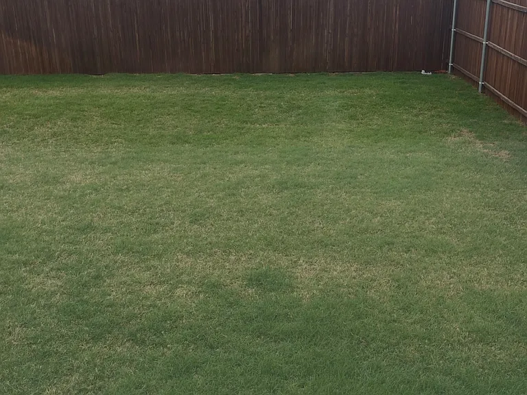 5208 Blue Night Dr — Photo 20