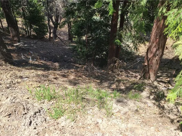 29186 Arrowhead Ave, Cedar Glen, CA 92321